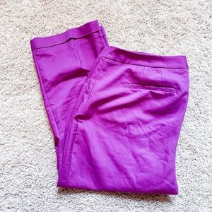 Lane Bryant cuffed Capri dress pants - EUC!